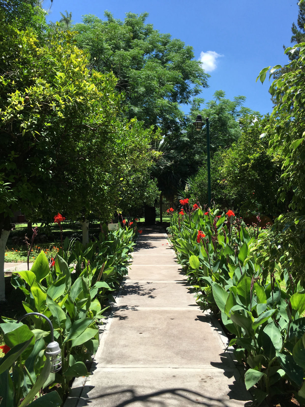 Jardines y áreas verdes de Paraíso Aventura