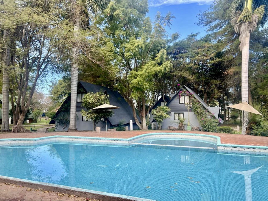 Alberca y jardines